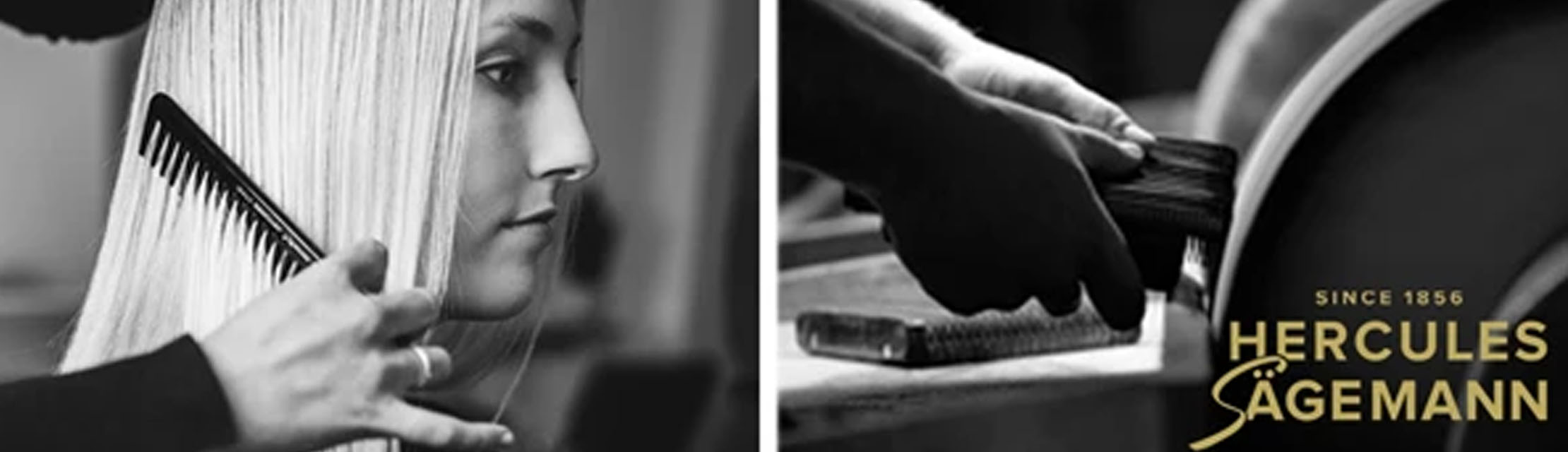 Hercules Sägemann Hercules Sägemann
