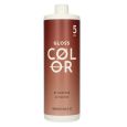 Bheysé Gloss Color Activator 5 VOL 1.5% 1000ml