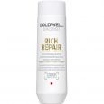 Goldwell Dualsenses Rich Repair Shampoo 250ml