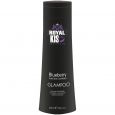 Royal Kis Glampoo Blueberry Violet Blauw 250ml