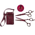 E-kwip Skill Set Kappersschaar 5.5 + Coupe 5.5 + Holster Bordeauxrood
