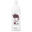 FarmaVita Life Cream Developer 3% 1000ml