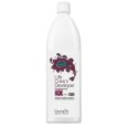 FarmaVita Life Cream Developer 6% 1000ml