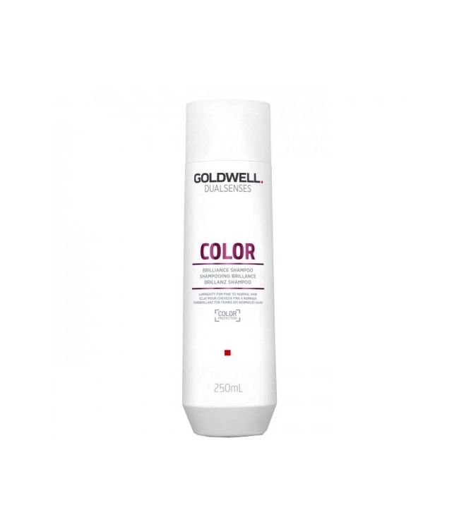 steenkool moeilijk tevreden te krijgen Ezel Goldwell Dualsenses Color Shampoo 250ml online kopen? Goldwell Shampoo