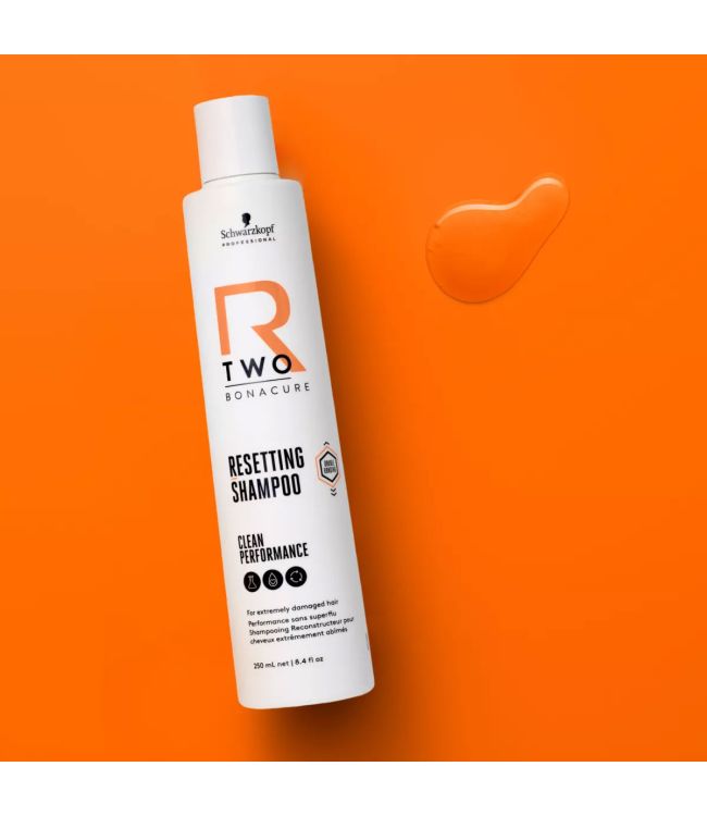 BearCereja TREATMENT SHAMPOO II ボリュームアップ BearCerejū