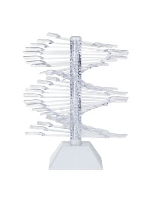 VoorNails Nagel Sjablonen Display Transparant 30st.