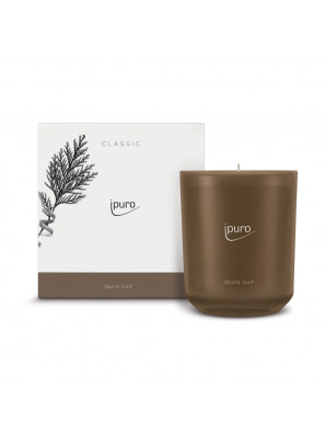 Ipuro Geurkaars Cuir 270gr
