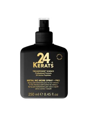 24 Kerats Metal No More Spray - Pro 250ml