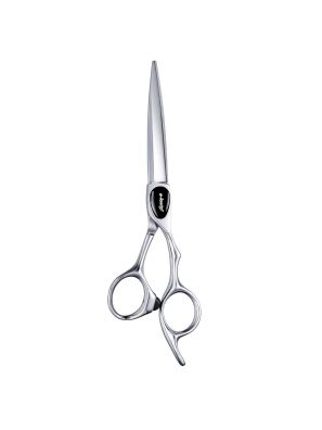 E-Kwip+ Kappersschaar Primus 5.5