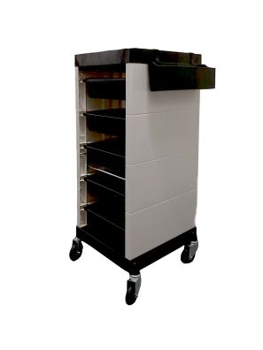 Werkwagen Zwart/Wit 5 Lades